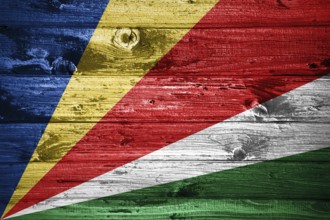 Seychelles flag on wooden planks background wood flag