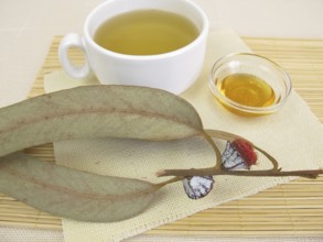 Eucalyptus tea with honey