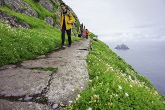 Visitors on the steep path up to the monastery, Skellig Michael island, Mainistir Fhionáin (St.