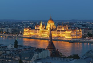 A picture of the Hungarian Parliament Building at night