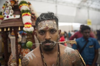 31/01/2018, Singapore, Republic of Singapore, Asia, A devout Hindu man's cheeks are pierced with a