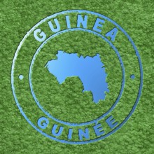 Map of Guinea, Forest with Water Map, CO2 Reduction