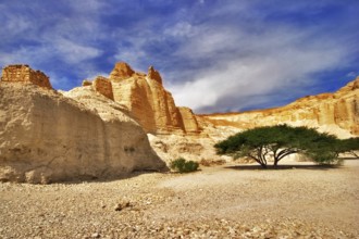 Ancient mountains near to an oasis Ein-Bokek at coast of the Dead Sea