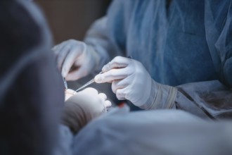 Medical professionals use tools during a surgical operation, emphasizing precision and teamwork