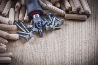 Heap of woodworking dowels stainless construction nails and insulated turnscrew