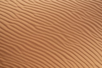 Scenic sand pattern on a desert's dune, drawn from the wind, Morocco