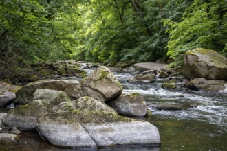 The Bode River Landscape Experience Bodetal