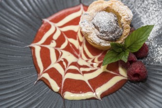 Pasteis de Nata - Portuguese custard tart with fruit sauce, raspberry for dessert