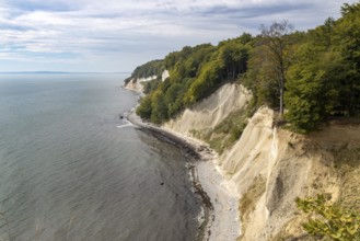 View of the chalk cliffs