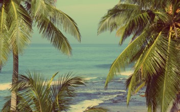 Beautiful blue sea landscape with palm leaves on foreground, vintage retro style
