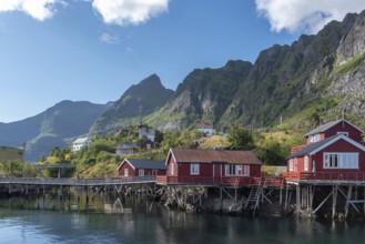 Village scene with traditional fishermen's houses, the so-called rorbuer, in the background the