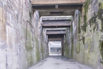 A concrete tunnel with weathered surfaces and exposed sections, evoking decay
