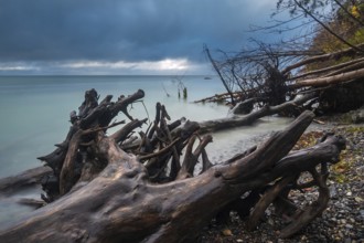 Baltic Sea coast on the island of Mön in Denmark
