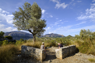 Montes Puig Roig y Caragoler desde Es Pixarells, Escorca, Mallorca, balearic islands, spain