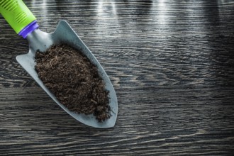 Shovel soil on wooden board gardening concept