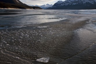 Abraham Lake Winter Ice formations bubbles design