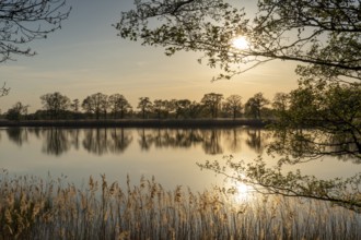 Evening atmosphere in the Upper Lusatian heath and pond landscape, Guttau pond area 4