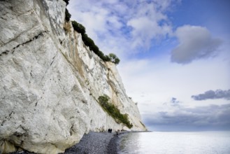 Mons Klint, cliffs on the Baltic Sea on the island of Mon, Denmark