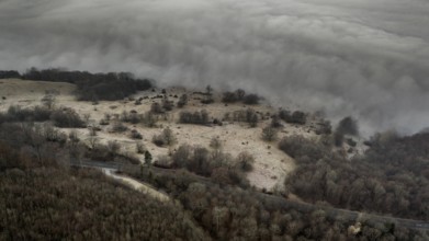 Autumn fans in the valley