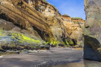 The concept of active and phototourism. The Pacific coast, New Zealand, North Island. Powerful
