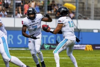ELF/ Game : Munich Ravens at Stuttgart Surge on Aug. 13. 2023, in the Gazi Stadium, Stuttgart,