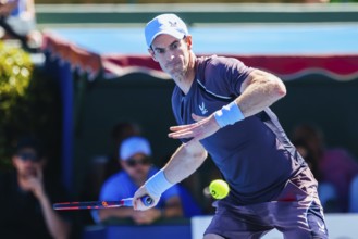 MELBOURNE, AUSTRALIA, JANUARY 11: Sir Andy Murray of Great Britain on his way to beating Dominic