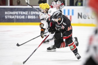 Elias Lindner (Cologne Sharks, #34), PENNY DEL, Test match Cologne Sharks - Lions Frankfurt on 25