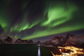 Northern Lights (Aurora borealis), Mefjordvaer, Mefjorden, Senja, Troms Fylke, Norway, March 2015
