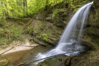 Side view of a waterfall flowing in a mossy forest area, surrounded by tall trees, Hasenreuter