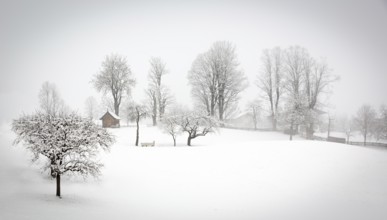 Winter landscape in the Alps, Tyrol, Wildschönau, Austria