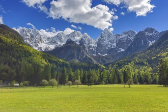 Landscape with beautiful mountains in Triglav national park in Slovenia at spring