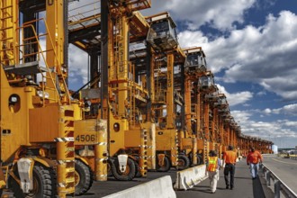 Parked Straddles, Container Shipping Yard, Port of Elizabeth, Newark, New Jersey, USA