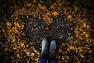 Heart-shaped pattern in the foliage on the ground, surrounded by boots in autumn forest, Hasbruch
