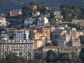 View of colourful houses nestled on a hill surrounded by lush vegetation, La Spezia, Italy