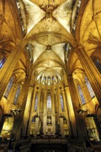 Gothic Cathedral, Catedral de la Santa Creu, Barri Gotic, Old Town, Ciutat Vella, Barcelona,