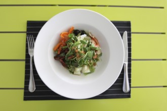 Restaurant menu. Dishes which give at restaurants. Salads, second courses, pizza and other