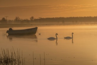 Fishing boat in the morning fog