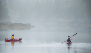 Kayakers navigate a calm waterway on a foggy day in Lunenburg, Nova Scotia, Canada, North America