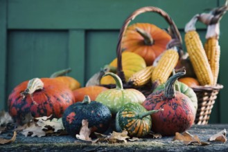 Pumpkins in autumn Thanksgiving card