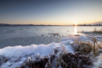 Snow-covered and icy shore of a lake at sunrise, Niederzell, Reichenau, Lake Constance,