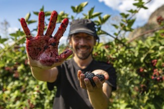 Selective focus and close up shot of happy and smiling caucasian man. as he showing hands stained