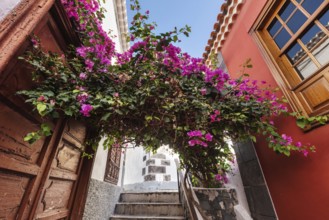 Downtown in Garachico village, famous touristic destination in Tenerife, Canary islands, Spain