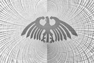 Federal eagle
