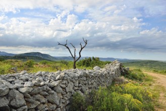 Rural landscape with mountain views near the town of Ares in Spain. Old ruined wall in the field
