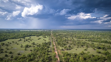 Aerial view of Transpantaneira dirt road crossing straight the North Pantanal Wetlands, Mato