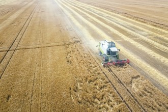Combine harvester working on a wheat field. Combine harvester Aerial view