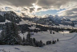 Wonderful winter hike from Restaurant Eggli over the Forstseeli and Diepoldsauer sponge to the