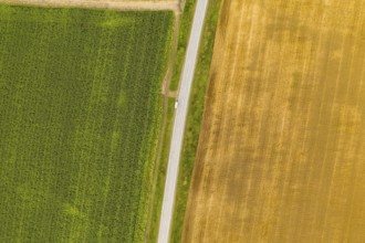 Aerial top view drone photography of a land with sown green fields in countryside