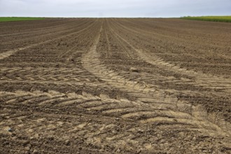 Field with tractor tracks, prepared for sowing, Swabian Alb, Field with tractor tracks, prepared