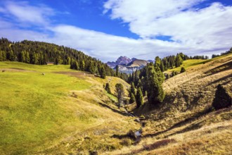 Concept pedestrian and ecotourism. The natural landscape of the Alps di Siusi. Fabulous mountain